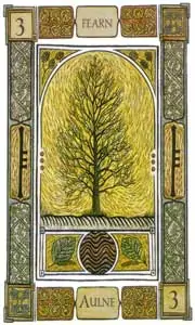 Oracle celte des arbres: la carte l'aulne