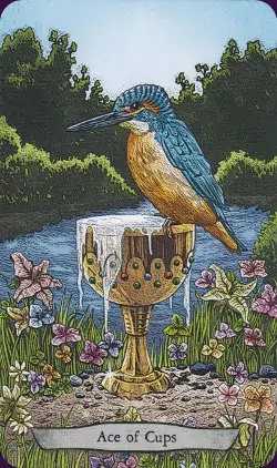 Tarot animal Totem carte ace of cups