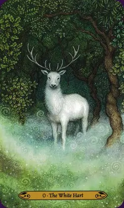 Tarot de la forêt enchantée: carte the white hart