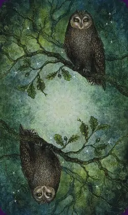 Tarot de la forêt enchantée: dos des cartes