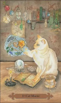 Tarot des chats mystiques: carte cat magic
