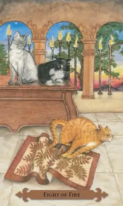 Tarot des chats mystiques: carte Eight of fire
