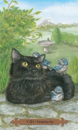 Tarot des chats mystiques: carte la force