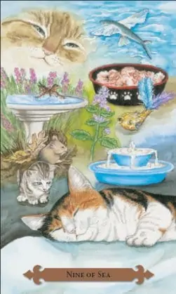 Tarot des chats mystiques: carte nine of sea