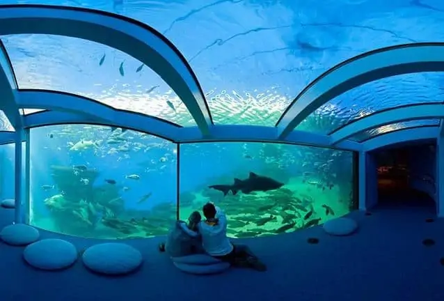 Significations précises du rêve d’aquarium:
