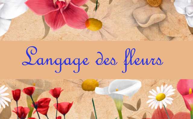 langage des fleurs