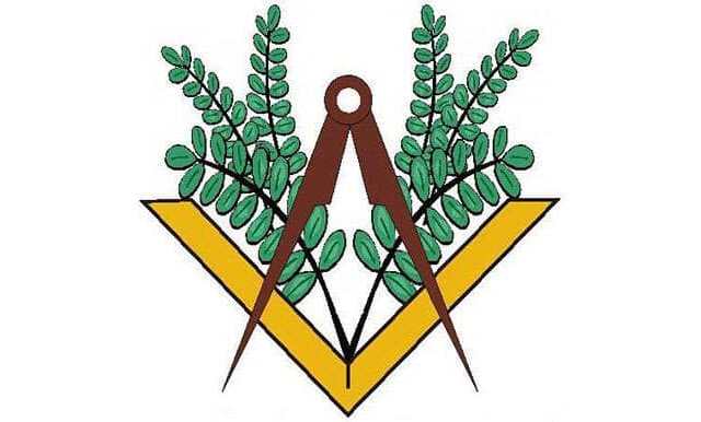 Le symbole maçonnique de l'acacia : 