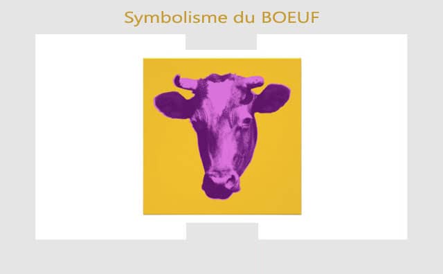 Boeuf : symbolisme et signification