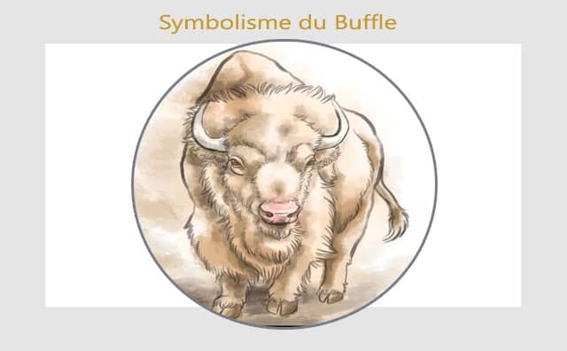 Le buffle : symboles et signification