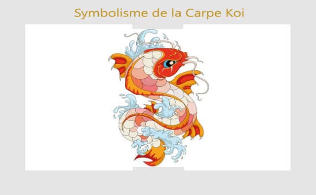 Carpe Koi : symboles et signification