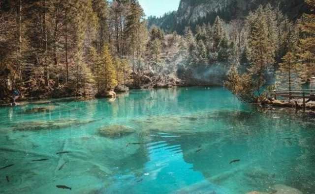 Que signifie vraiment rêver de lac vert ?