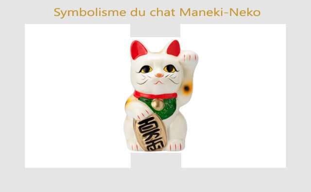 Chat Maneki Neko : symboles et signification