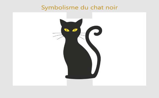 Chat noir : symboles et signification