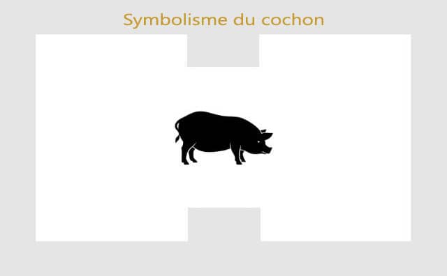 Cochon : symboles et signification