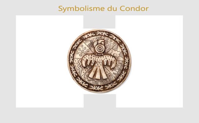 Condor : symboles et signification