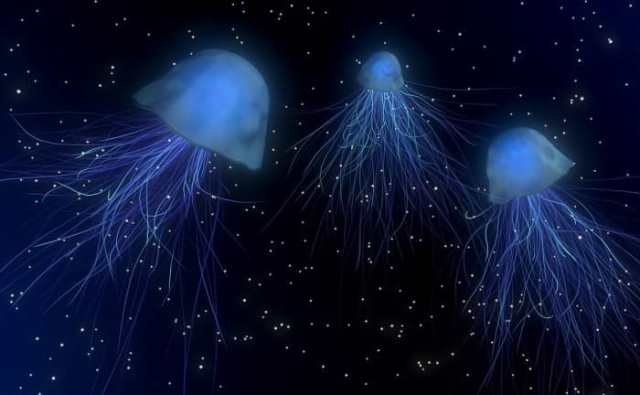 Pourquoi rêver de méduses dans le ciel ?