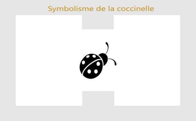 Coccinelle : symboles et signification