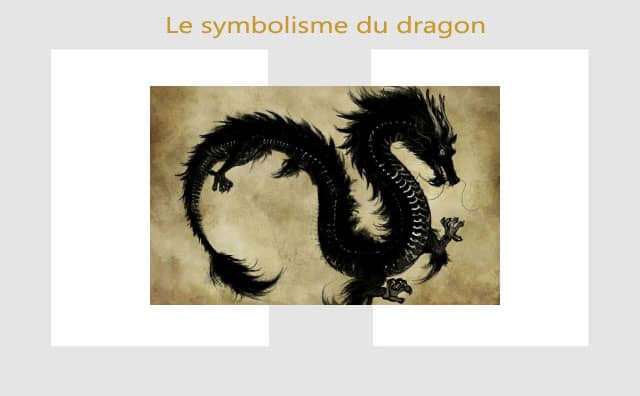 Dragon : symboles et signification
