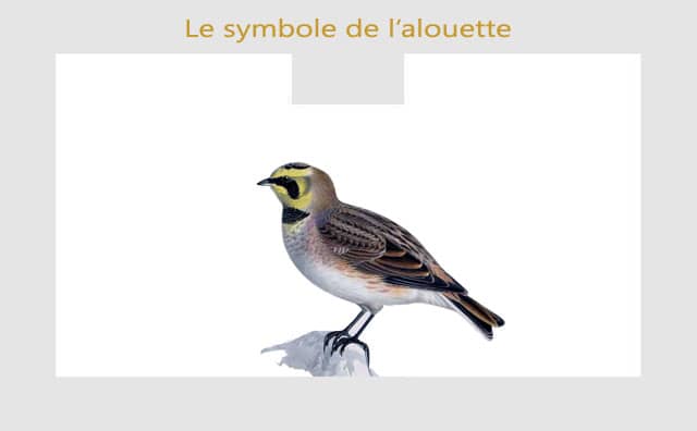 Alouette : symbolisme et signification