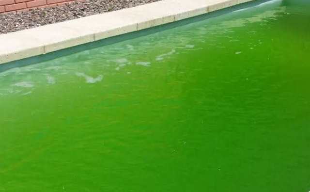 Comment bien interpréter rêver de piscine d'eau verte ?