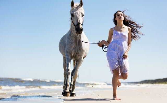 Comment bien interpréter rêver d'être poursuivi par un cheval ?
