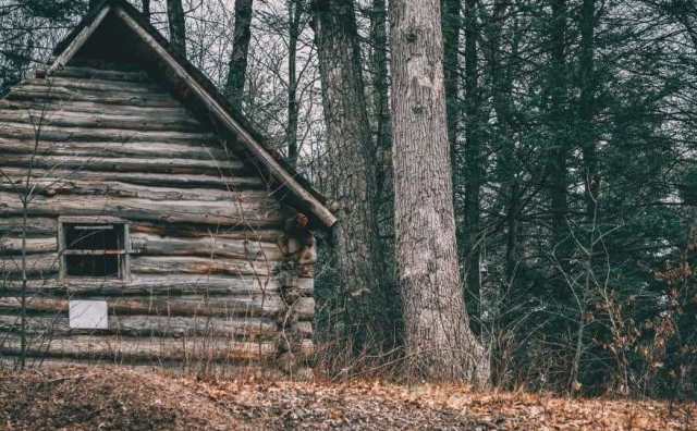 Pourquoi rêver d'une maison en bois ?