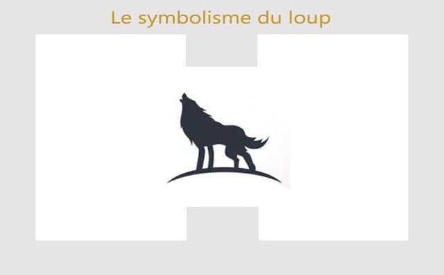 Loup : symbolisme et signification