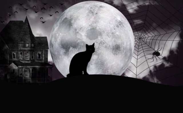 Le chat noir et les superstitions :