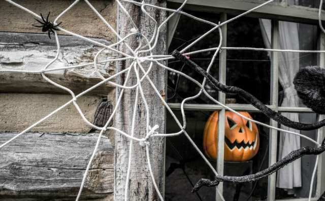 Une toile d'araignée porte chance le jour d'Halloween