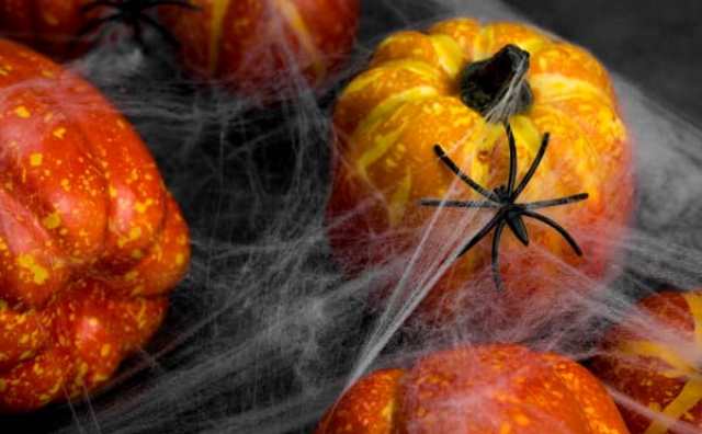 Quel est le symbole des toiles d'araignée d'Halloween?