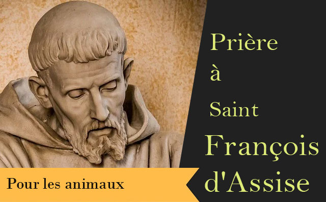 Saint François d'Assise et sa prière pour les animaux malades