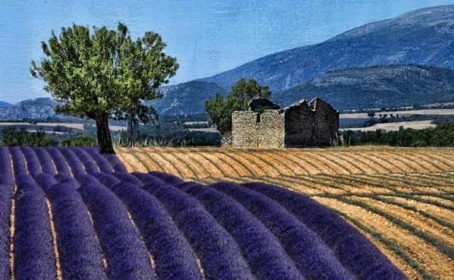 Comment trouver un bon magnétiseur en Alpes-de-Haute-Provence ?