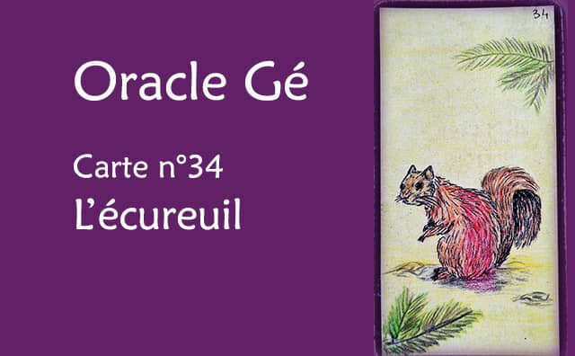 Oracle Gé : Explications de la carte l'écureuil n°34