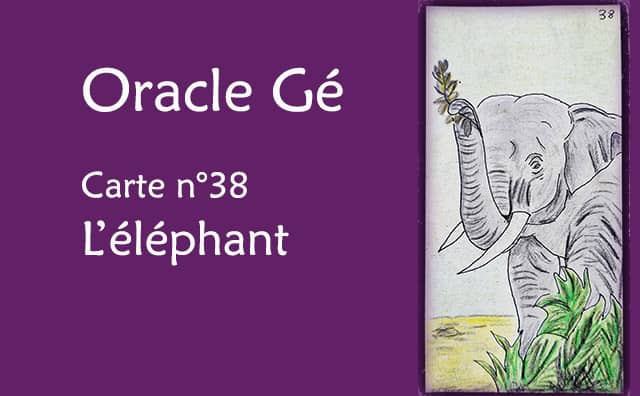 Oracle Gé : Explications de la carte l'éléphant n°38