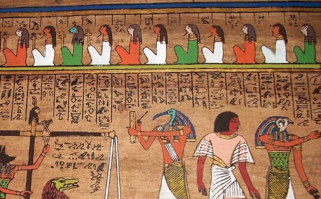 Rêver de papyrus : quelles interprétations et significations ?