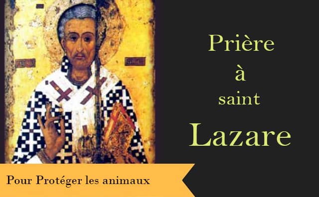 Prière à saint Lazare pour les animaux malades : 