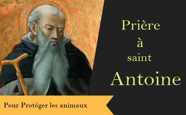 Sainte Antoine le Grand : Prière pour protéger les animaux