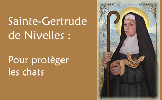 Sainte Gertrude de Nivelles : Prière de protection pour les chats