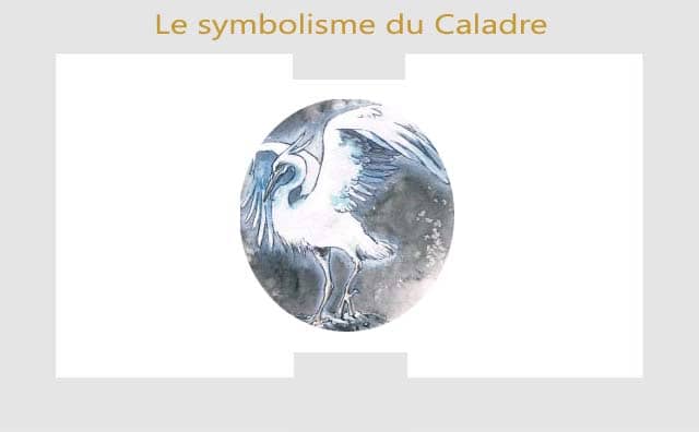 Caladre : symbole et signification