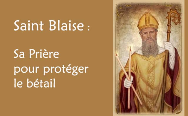 Saint Blaise et sa prière spéciale pour la protection du bétail :