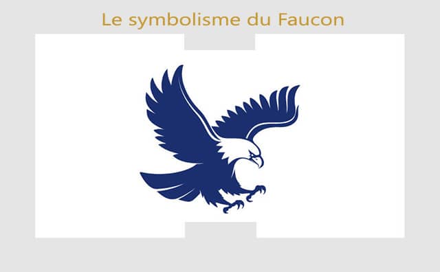 Faucon : symboles et signification