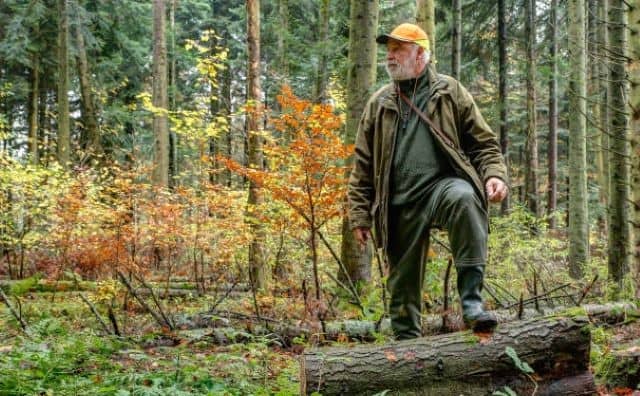 Rêver de garde forestier : quelles interprétations, analyses et significations ?